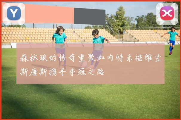 森林狼的传奇重聚加内特乐福维金斯唐斯携手夺冠之路