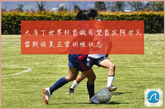 大马丁世界杯首战有望首发阿尔瓦雷斯恢复正常训练状态